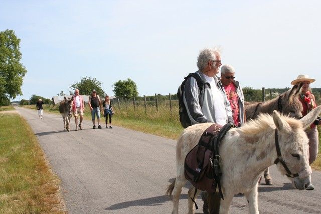 2015-07-06 rando anes (29).JPG